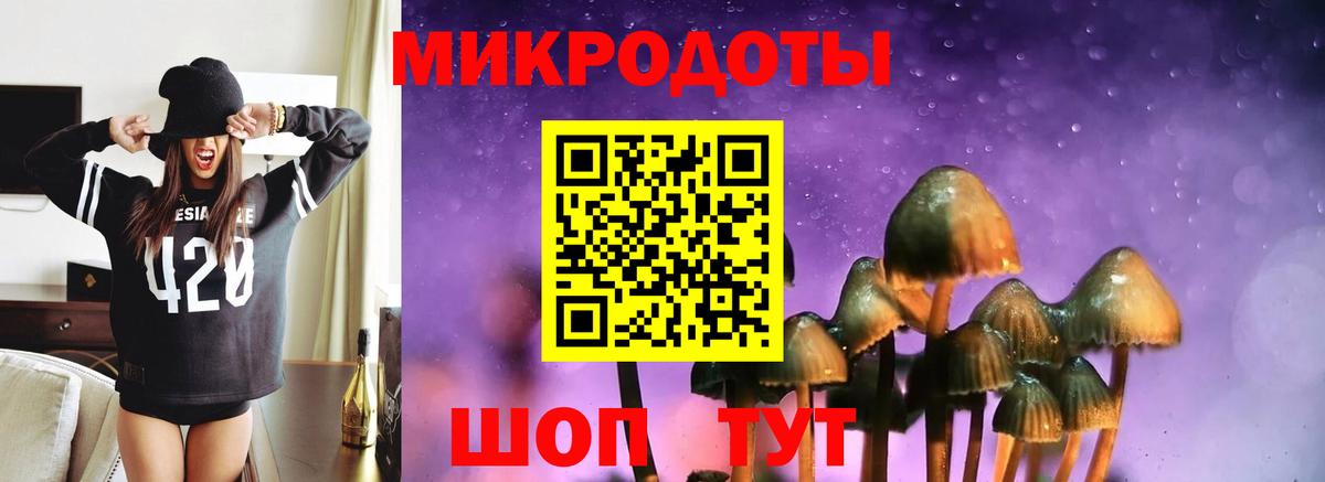купить закладку  Галлюциногенные грибы ЛСД  Вход с VPN  Кувандык  Псилоцибиновые грибы GOLDEN TEACHER 